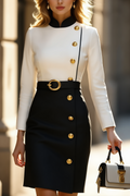 Work Dress Black White Stand Collar Long Sleeve Belted Mini Dress